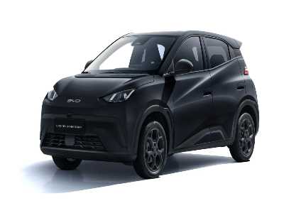 Byd Dolphin Surf Comfort